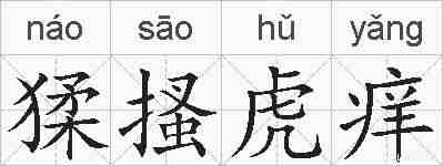 猱搔虎痒的拼音