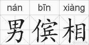 男傧相的拼音