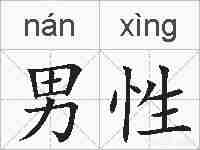 男性的拼音