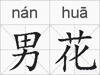 男花的拼音