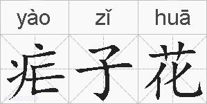 疟子花的拼音