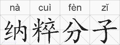纳粹分子的拼音