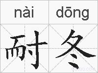 耐冬的拼音