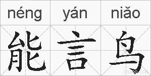 能言鸟的拼音