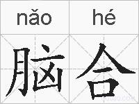 脑合的拼音