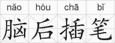 脑后插笔的拼音