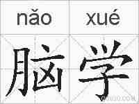脑学的拼音