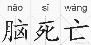 脑死亡的拼音