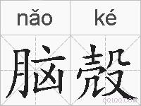 脑殻的拼音