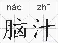 脑汁的拼音
