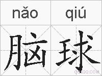 脑球的拼音