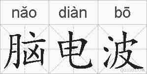 脑电波的拼音