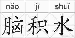 脑积水的拼音
