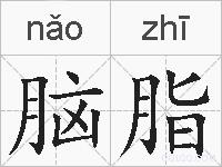 脑脂的拼音