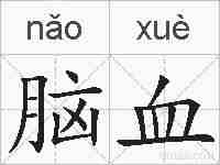 脑血的拼音