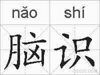 脑识的拼音