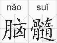 脑髓的拼音
