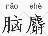 脑麝的拼音