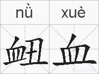 衄血的拼音