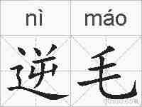 逆毛的拼音