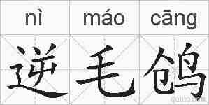 逆毛鸧的拼音