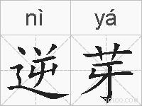 逆芽的拼音