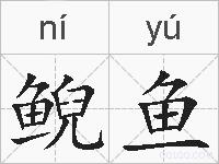 鲵鱼的拼音