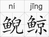 鲵鲸的拼音