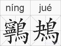 鸋鴂的拼音