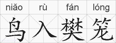 鸟入樊笼的拼音