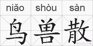 鸟兽散的拼音