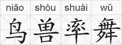 鸟兽率舞的拼音