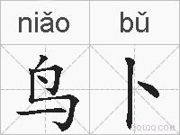 鸟卜的拼音