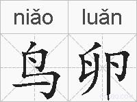 鸟卵的拼音