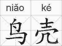 鸟壳的拼音