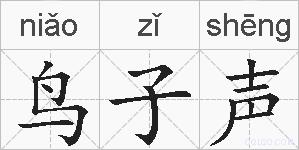 鸟子声的拼音