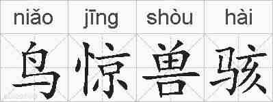 鸟惊兽骇的拼音