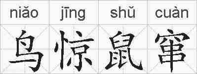 鸟惊鼠窜的拼音