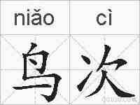 鸟次的拼音