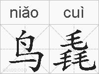 鸟毳的拼音