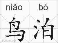 鸟泊的拼音