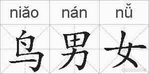 鸟男女的拼音