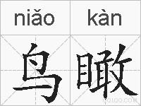 鸟瞰的拼音