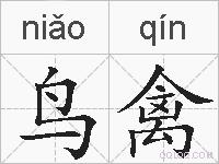 鸟禽的拼音