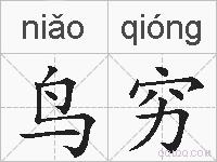 鸟穷的拼音