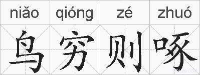 鸟穷则啄的拼音