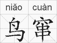 鸟窜的拼音