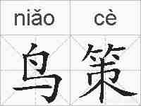 鸟策的拼音