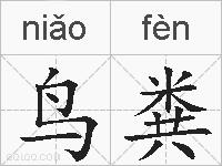 鸟粪的拼音