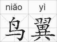鸟翼的拼音